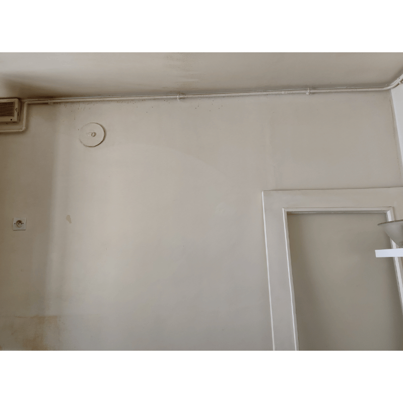 Nettoyage et lessivage de murs et plafonds
